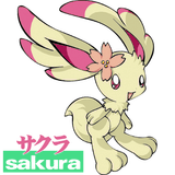 Sakura