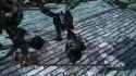 DARK SOULS II 2025-03-25 14-12-36_thumb.jpg