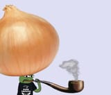 onionsapu