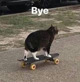Bye
