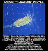 TARGET-FLOATERS-EXAMPLE-700w
