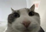 1749739568587757m
