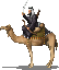 camel rider