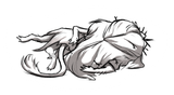 witch down