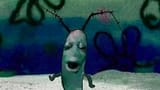 plankton