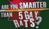 5 gay rats