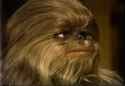 dog2_thumb.jpg