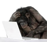 apecomp