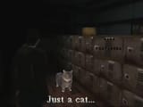 just a cat silent hill