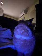 Gdcx2cyWMAA4NFd