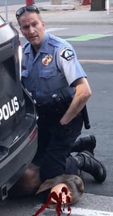 Cop Kills a Literal Troon