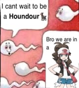 houndoom