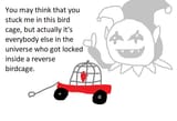 reverse birdcage