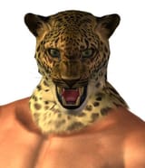 H U M A N O I D