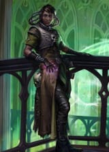 rogue-trader-companions-we-will-likely-have-more-options-v0-qaqgcfdv8x7a1
