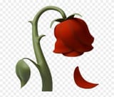 5c466581f47716f5e2e6bbb5c245a4b2