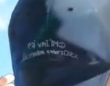 1725631261907957