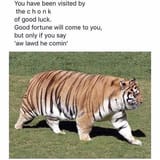 1748240476715766