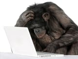 chimp-with-laptop-92236499-iStock_GlobalP
