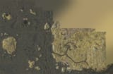 800px-PC3-map-Cell_Export_Release