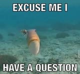 Question