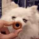 1723152972096658_thumb.jpg