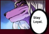stay loyal