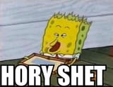 HORY_SHET