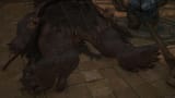 ff16