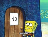 sponge no