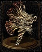 dga