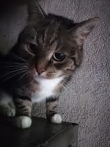 1705501458794448