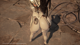 eve butt