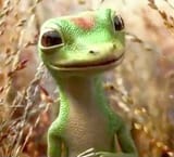 gecko