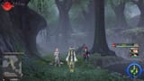 forest