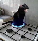 AAAAAAAAAAAA