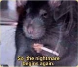 nightmare-begins_face