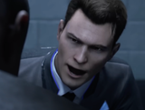 28 stab wounds