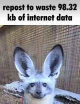 44kbat