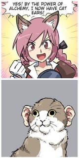 human-eared cat