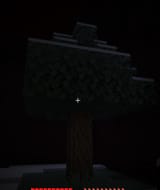is this a tree right