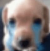 1742954553686536
