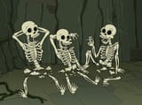 crushed pelvis
