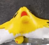 1645791466639