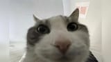 1747814487555692