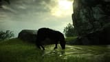 SHADOW OF THE COLOSSUS_20240301005624