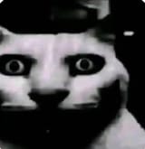 8888