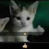 1722841351448