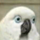 1626805330008