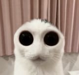 1738847699098088